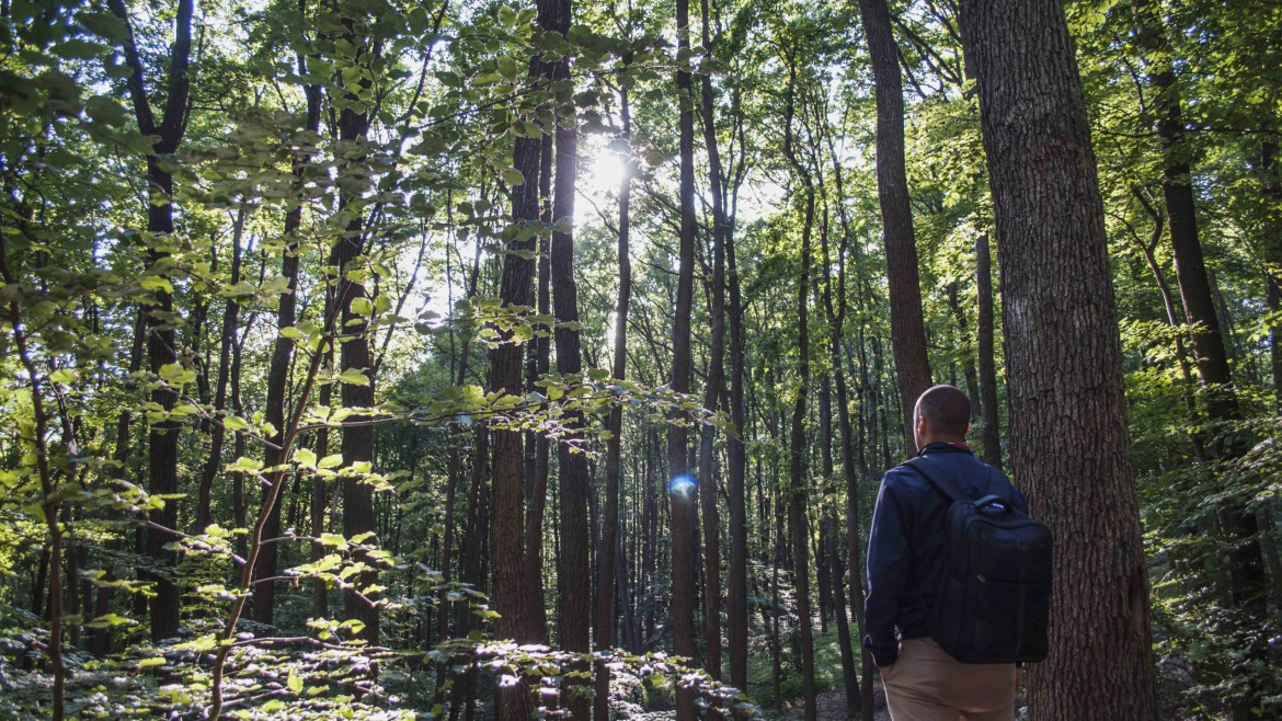 Cómo sobrevivir al síndrome del déficit de naturaleza