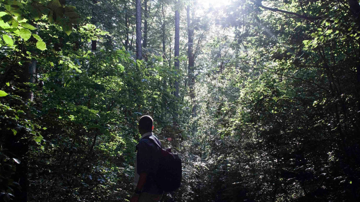 ¿Tienes un espíritu wanderlust?